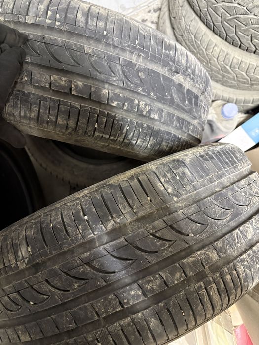 Продам без грыж без порезов