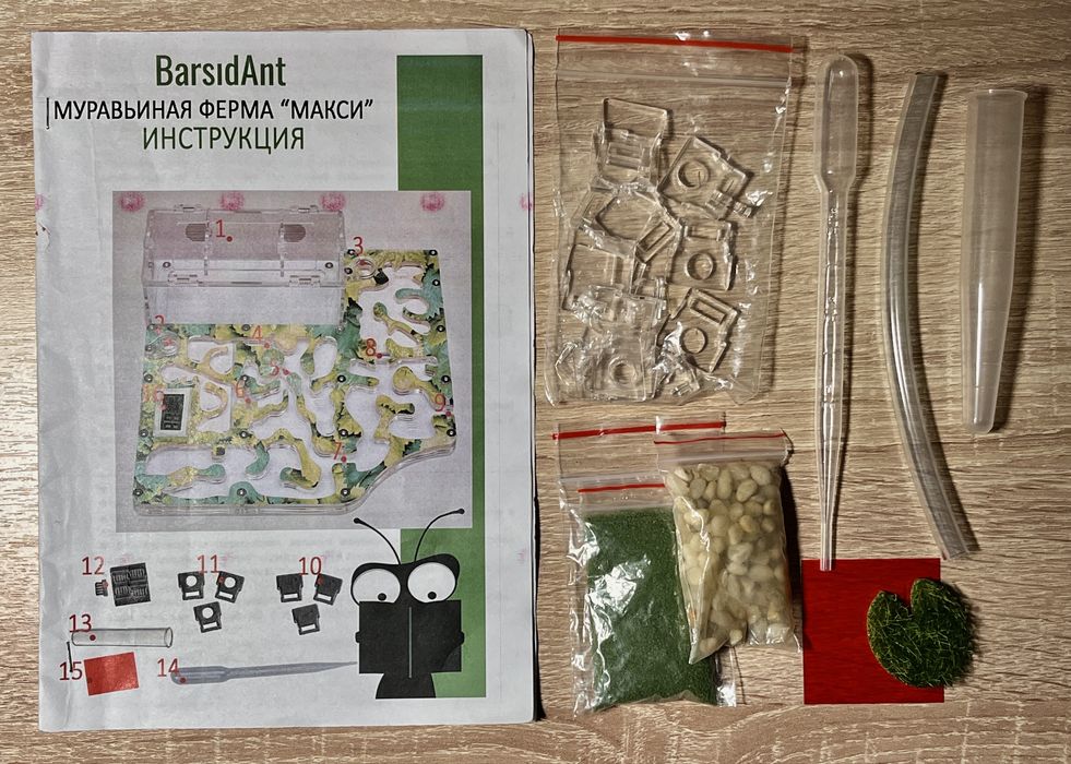 большая муравьиная ферма