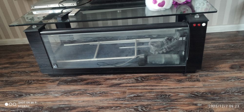 Аквариум большой