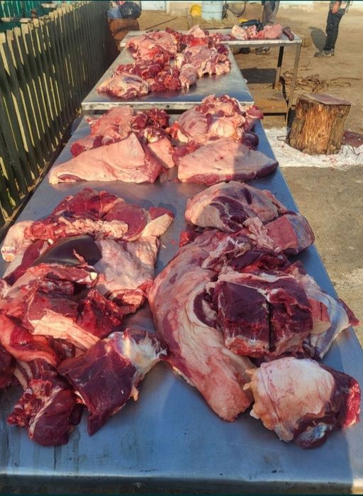 Жілік соғым 2750тг  кунделікті