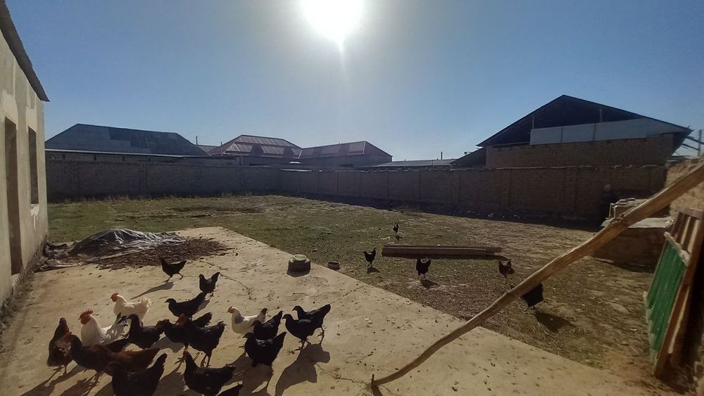 Qarshi shahridagi 6 sotix yer sotiladi