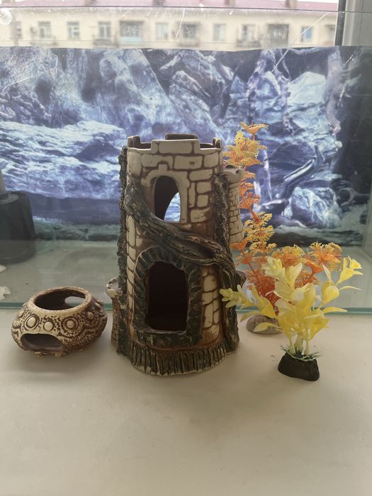 Аквариум для рыб — готовый комплект