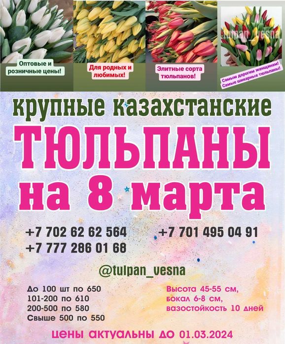 ТЮЛЬПАНЫ шикарные,  крупные, Казахстанские