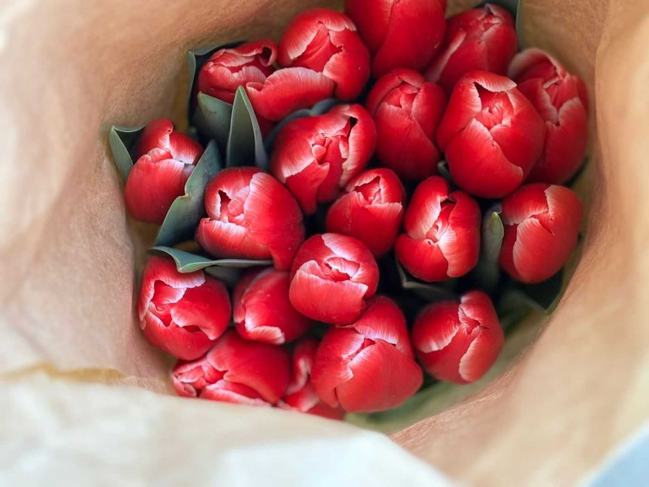 Тюльпаны оптом и в розницу