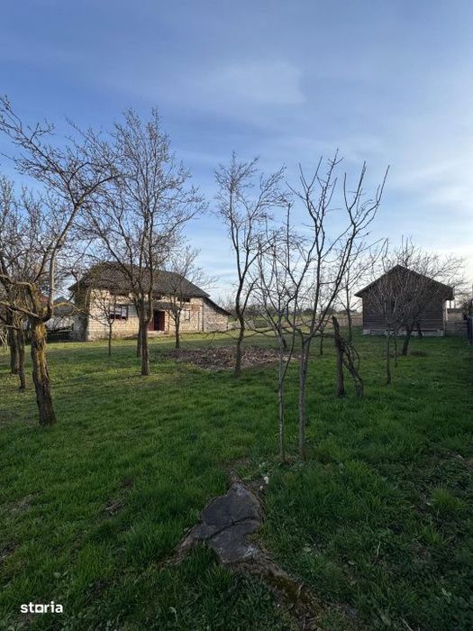 Casa Asuaju de Sus, 47 ari teren, investitie, necesita renovare