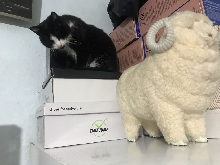 эл от 2до 15т сап 7т чайный 25 гант 25т