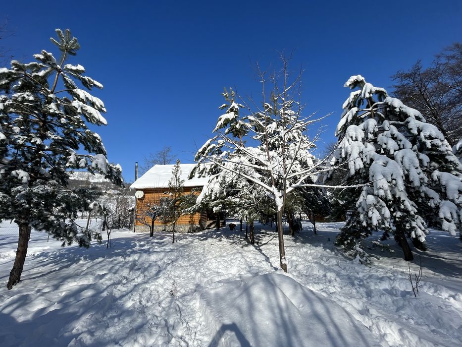 Cabana lemn lângă râu, sat Costeşti