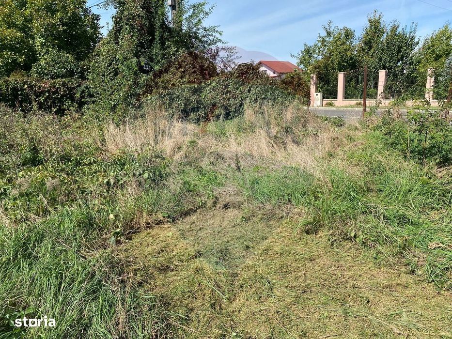Teren 1,039mp Ghermanesti / Ilfov