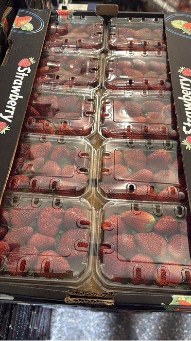 Клубника Египит