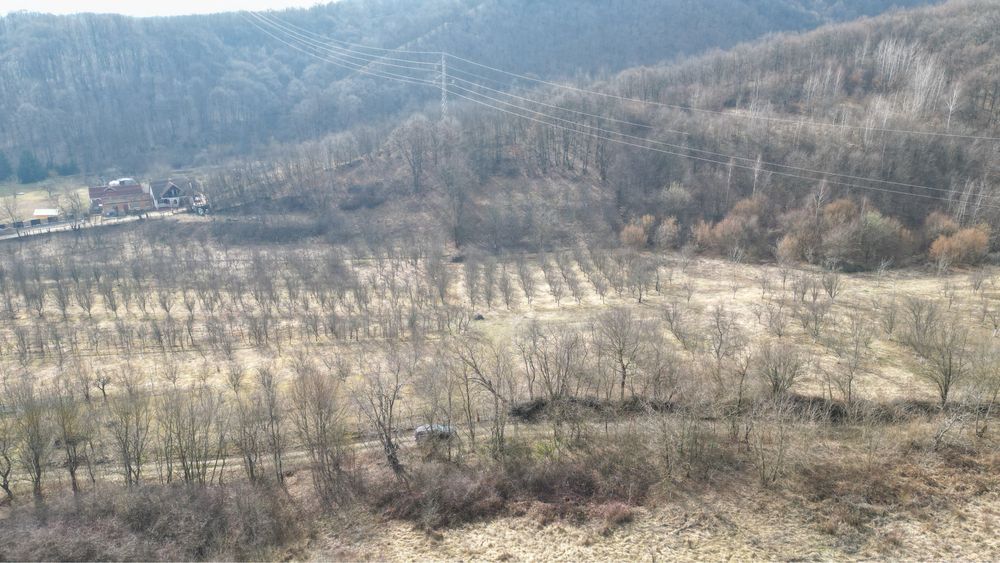 Teren intravilan Valea Cenchi constructii case pensiune caransebes