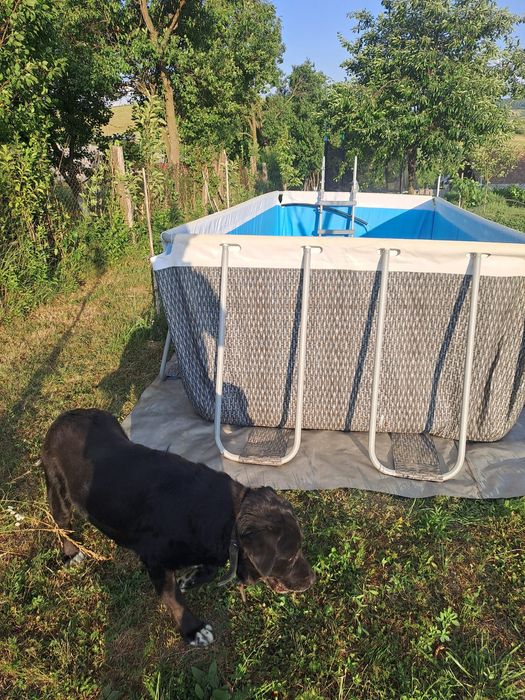 Vând.      Piscina.