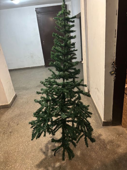 Коледна елха 190 см