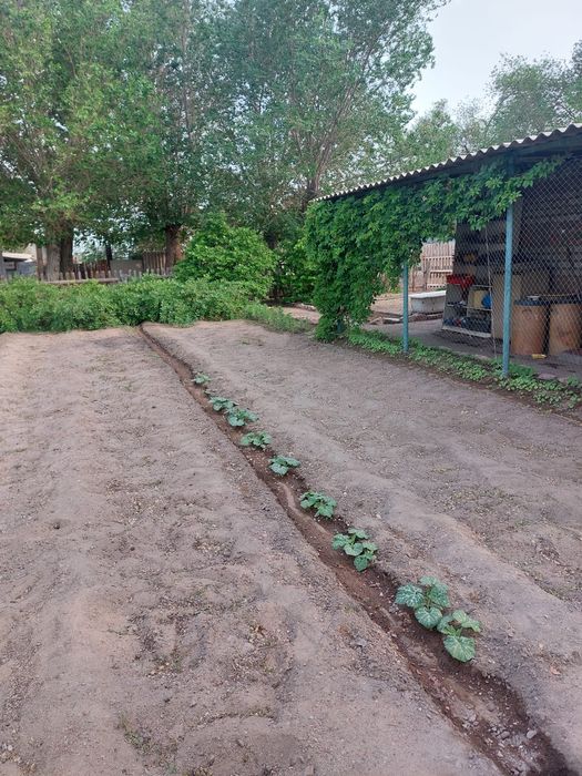 Торангылык 130 м2