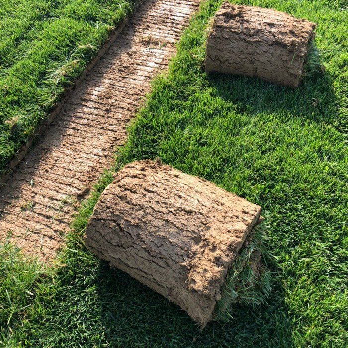 Tayyor gazon ornatish landshaft dizayn xizmati