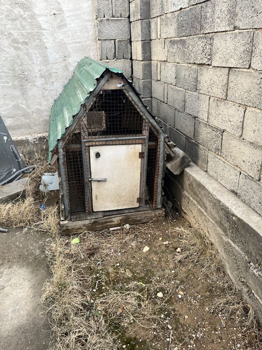 Продаётся дом для собак для любого животного подойдёт