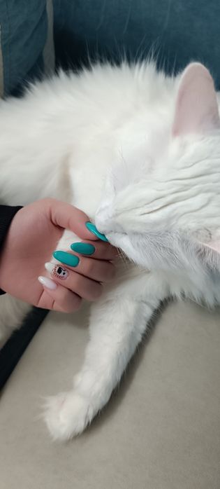 Комбинированный Маникюр