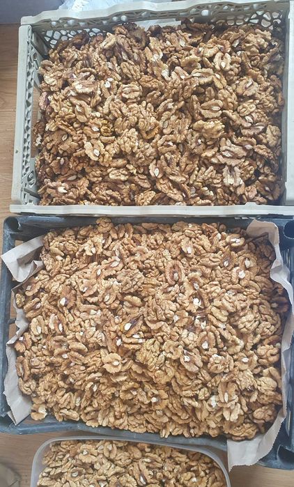 Miez de nuca jumatati 2025