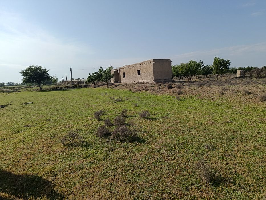 Uy sotiladi Buxoro viloyat Shofirkon tumani Gulistonqishlogʻida32sotix
