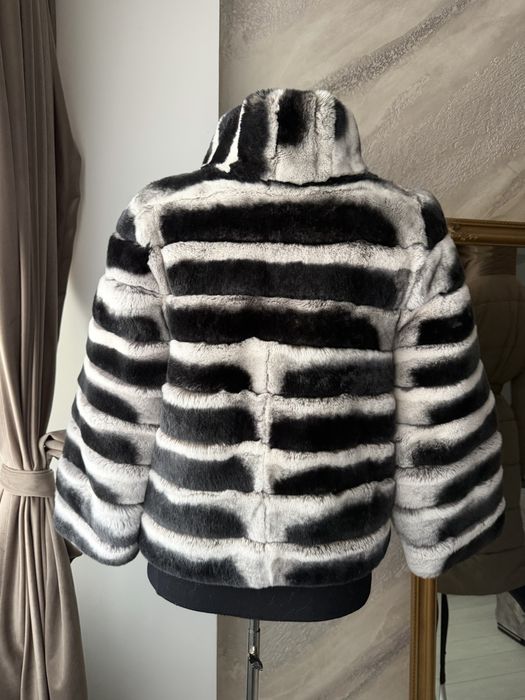 Haina de blana chinchilla rex