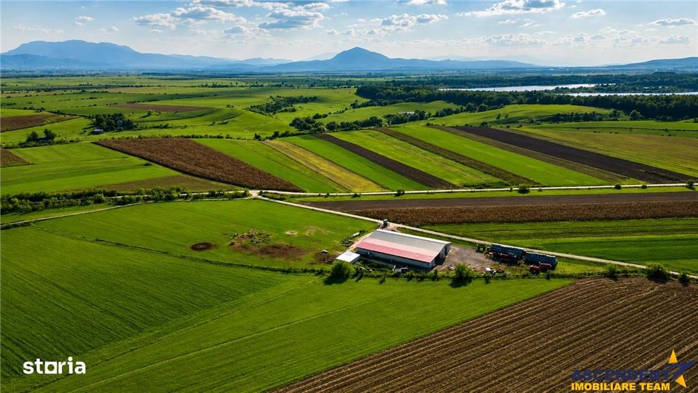 FILM! 18.000 mp, extravilan, agricol+ constructii:ferma,investitii agr