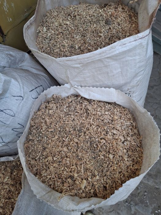 Апилка ең арзан бағада