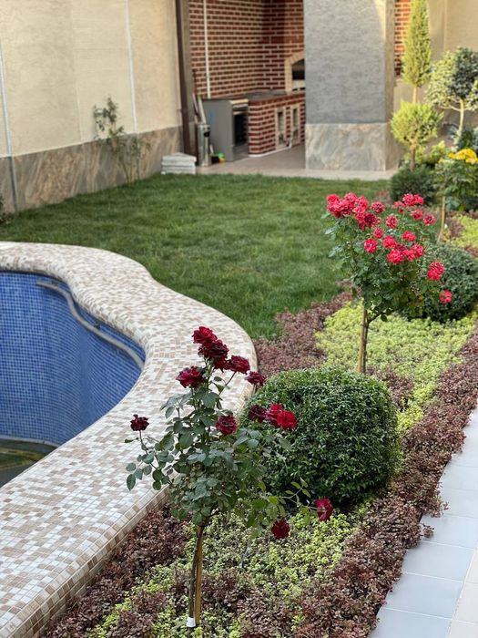 Ландшафтный дизайнер