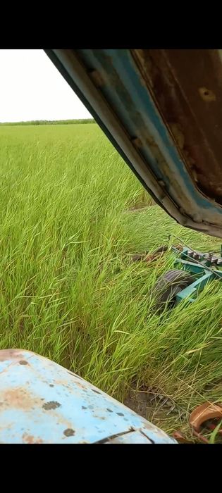 Рулон сено сатылады