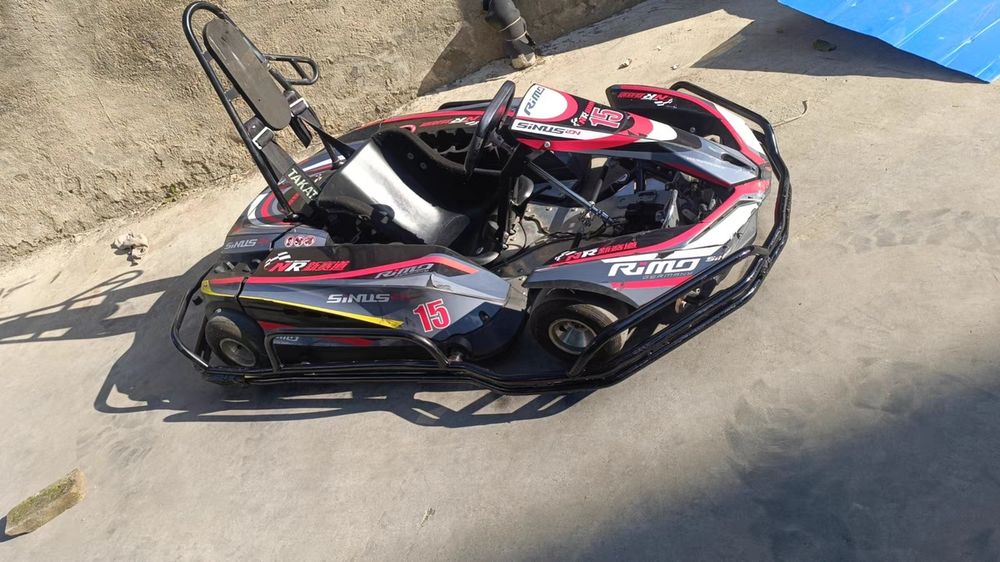 Rimo sinus ion электрокартинг