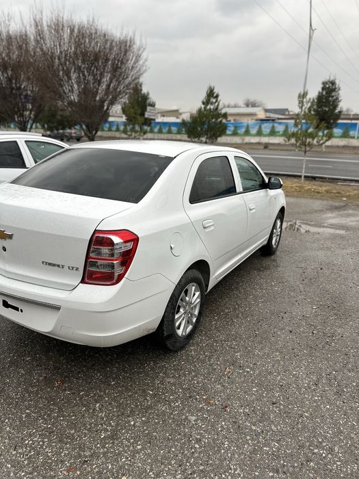 Style MCM пачка кобальт сотилади!