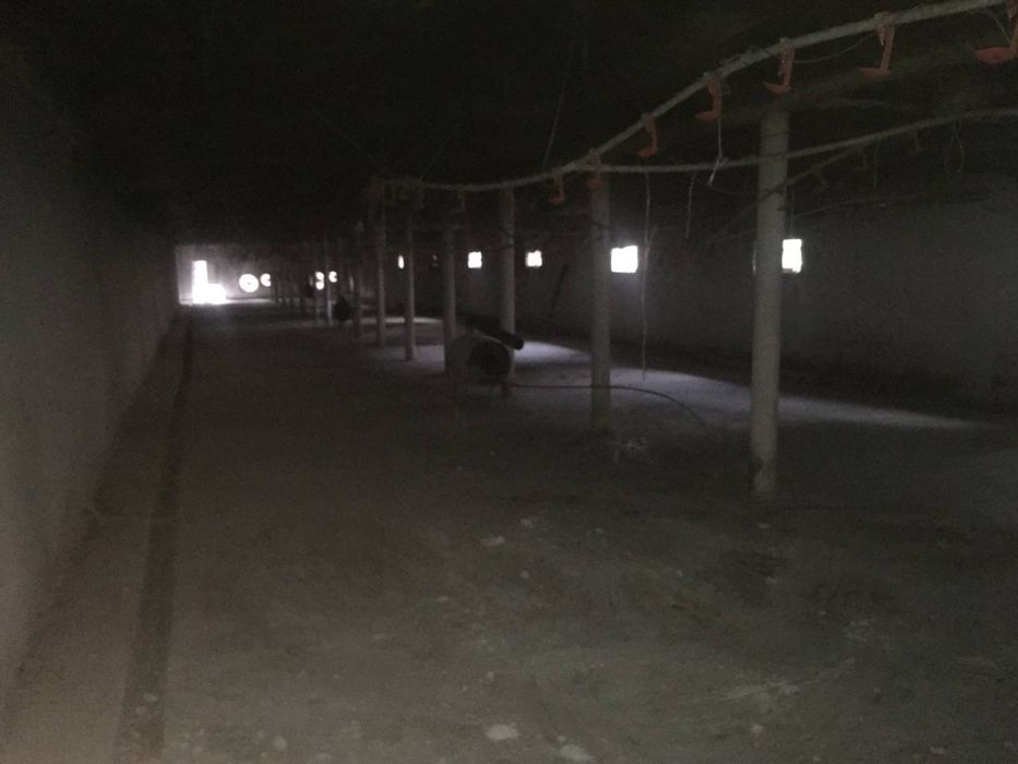 Товук ферма сотилади