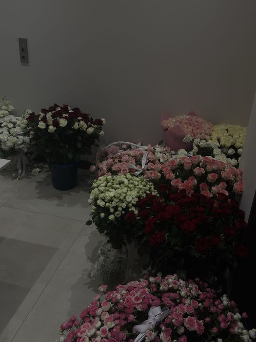 Продам цветы свежие