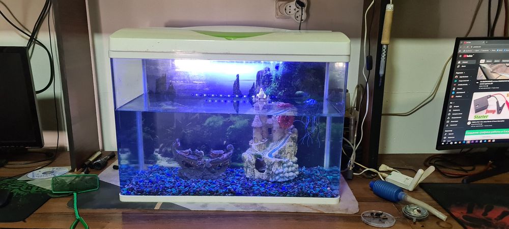 Аквариум + балықтар (толық комплект)