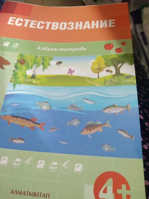 Окулык,учебник 0кл,4+,5+