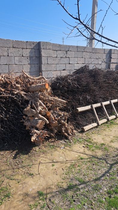 Отын, шақ дөңке 2 машина