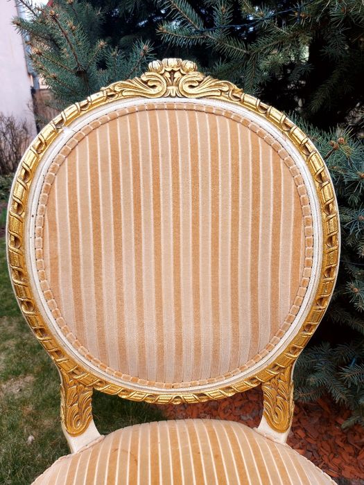 Scaune unicat tip regal