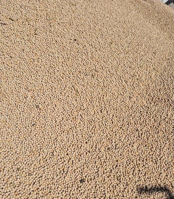 vand cereale, ovaz, mazare, porumb, soia, grau