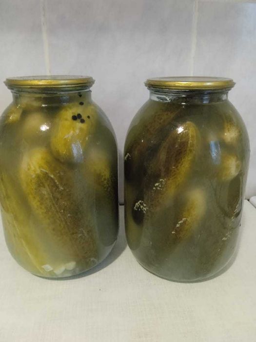 огурцы маринованные