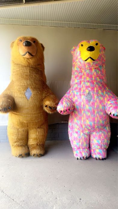 Kotta ayiqlar Sotilad