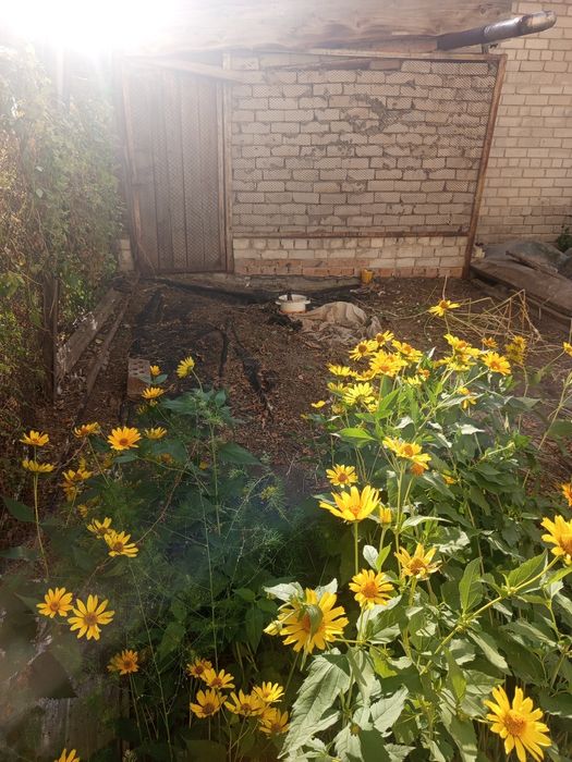 Прополка огорода