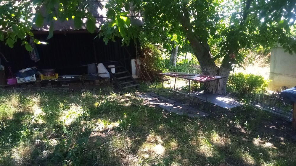 Chirie 1600 M2 teren îngrădit cu casa lemn, curentr Colinelor Oradea