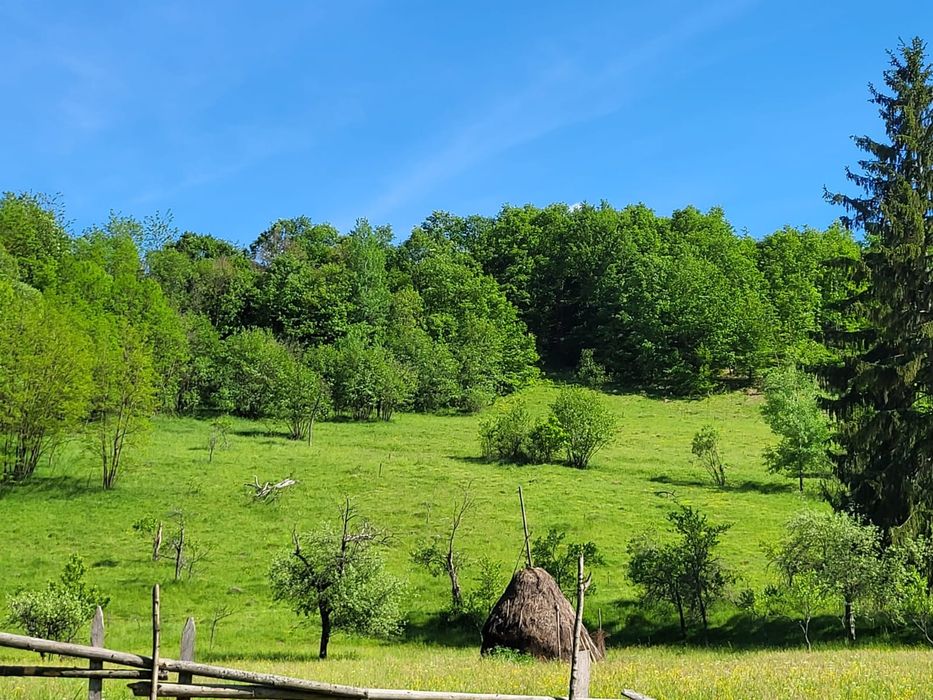 Teren și pădure, 1,5 hectare, Poieni, Densuș, Hunedoara