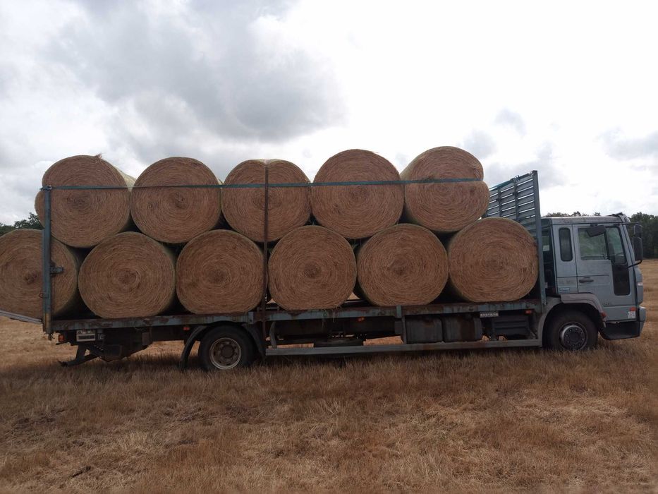 Продава се Промишлена сграда в с. Момина църква, Област Бургас - 41000 кв.м за 49 €/кв.м - Снимка #6