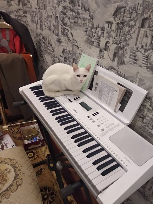 Синтезатор Yamaha EZ-300 с функцией обучения + подставка (комплект)