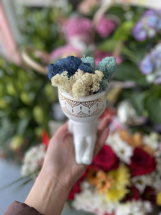 Скандинавски мъх