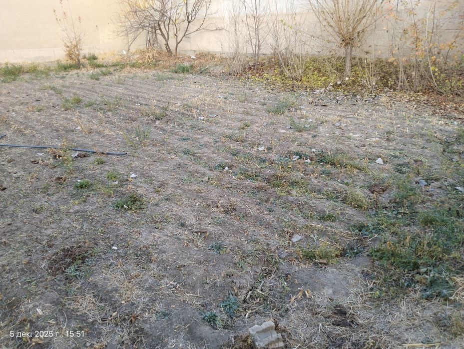 Yer sotiladi juma shahrida 4 sotix