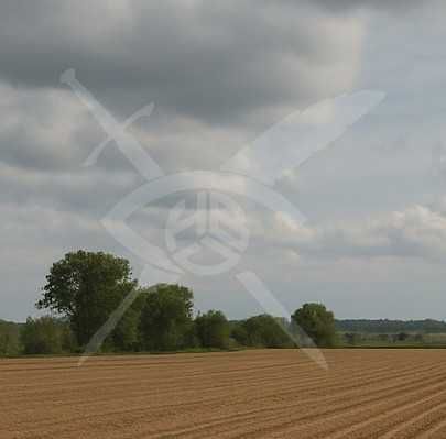 Парцел Червен 71569