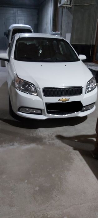 Nexia3 2022 ohrgi cqqanidan