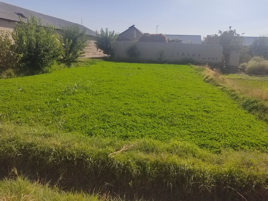 Gaz svet suv sharoitlari yaxshi 7sotix 9800$ kelishamiz