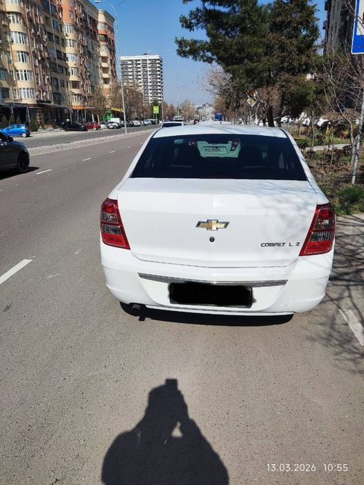 Озимми кобалт мошинами сотаман