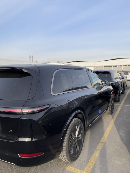 Li 9 Ultra Restyling